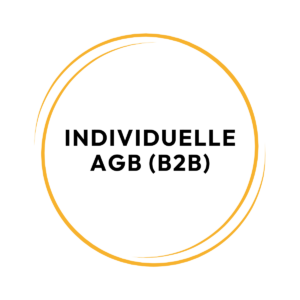 Individuelle AGB B2B