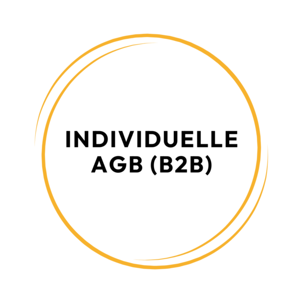 Individuelle AGB B2B