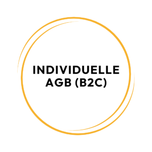 Individuelle AGB B2C